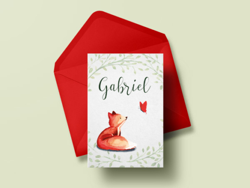 presentation-Gabriel-BC-nohanis-graphiste